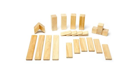 Tegu magnetische blokken